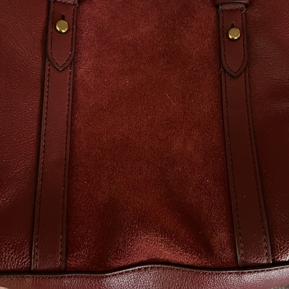 Real red fossil - Picture 2 of 5